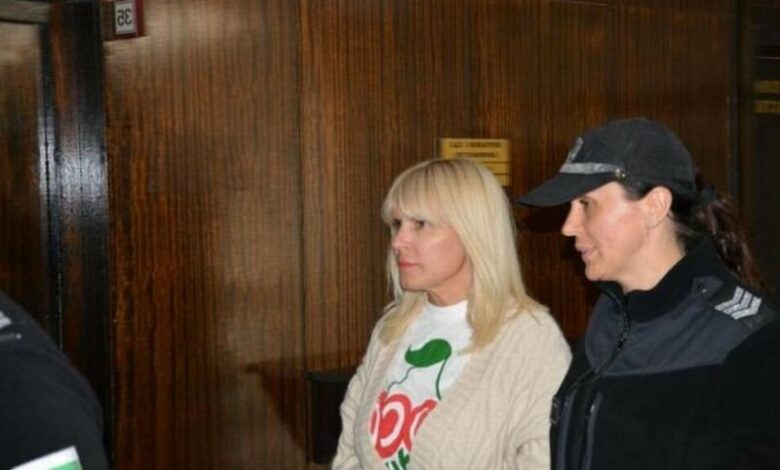 Елена Удря: Румънските власти излъгаха българския съд
