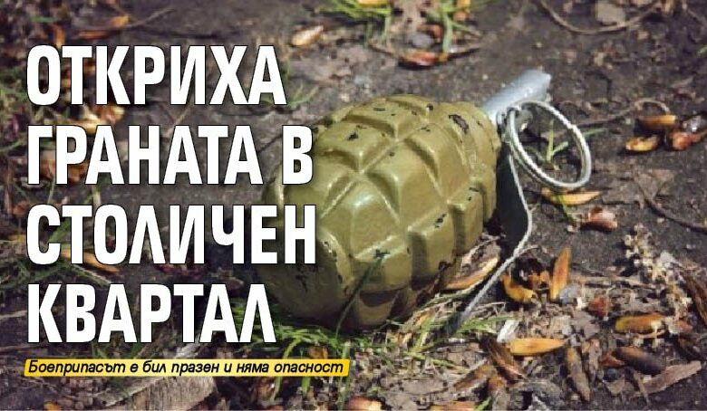 Откриха граната в столичен квартал