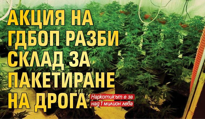 Акция на ГДБОП разби склад за пакетиране на дрога