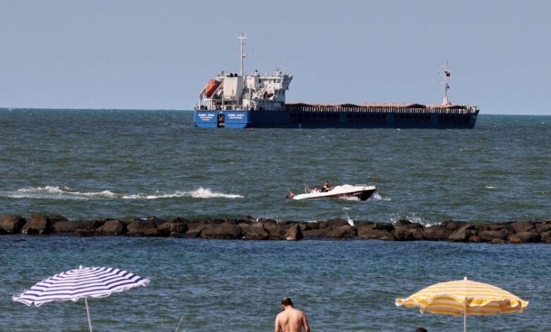Турция освободи руски кораб с крадено украинско зърно