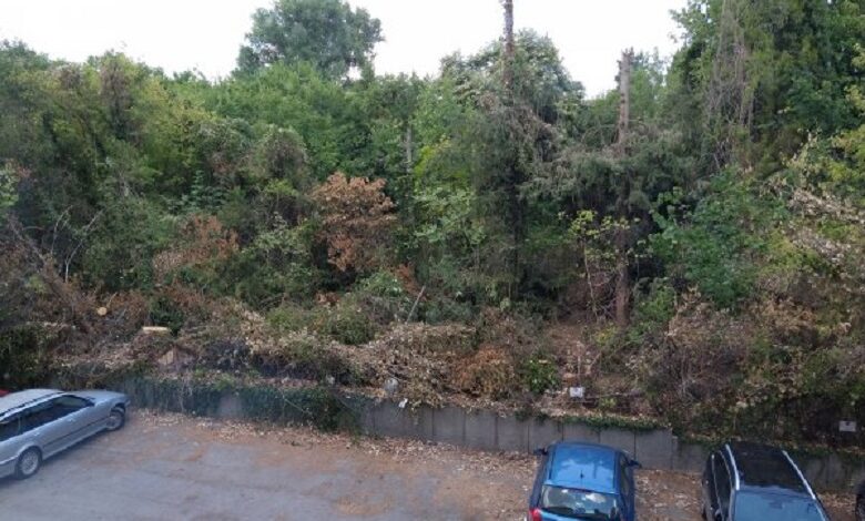 Дивашка сеч в Стара Загора заради капан от ГЕРБ