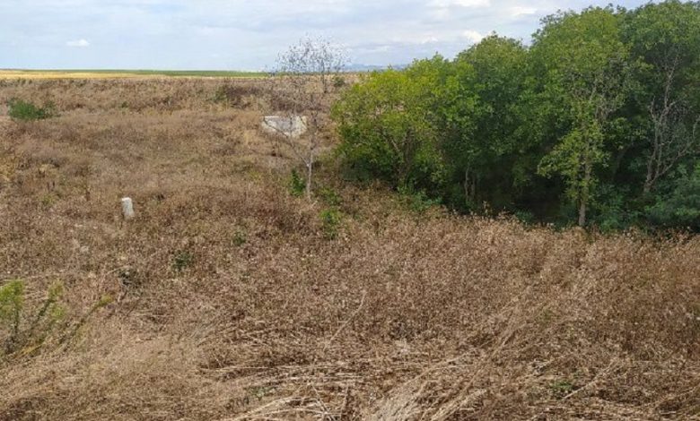 ПАК ЩЕТА: ГЕРБ ремонтира незаконно 209 празни язовира, 630 млн. потънаха в чекмеджетата (СНИМКИ)