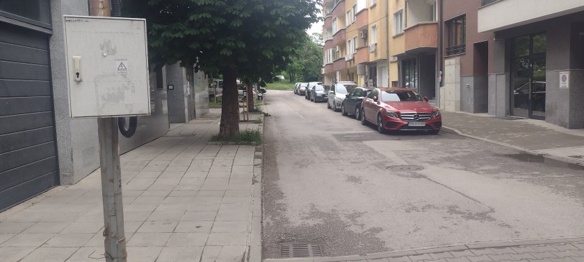 Граждани питат: Общинари ли тровят котки в столичния квартал "Света Троица"? (СНИМКИ)
