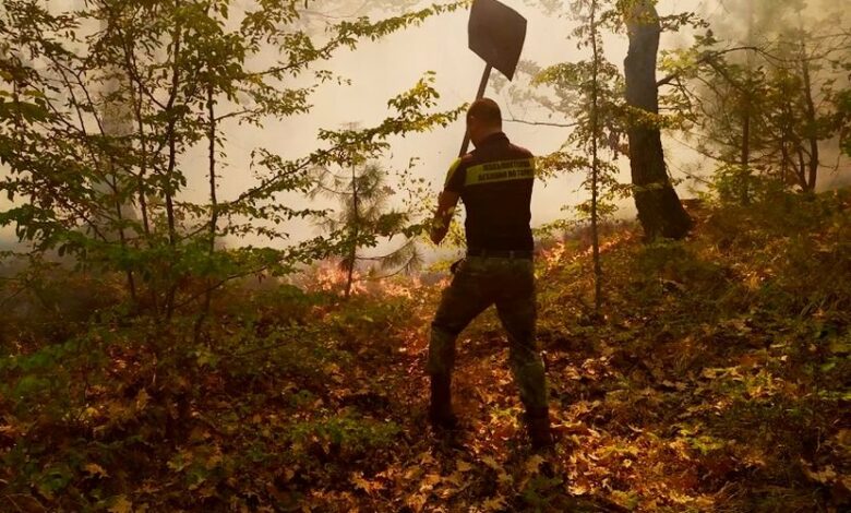 19-годишно момче пострада много тежко при гасенето на пожара в Сакар