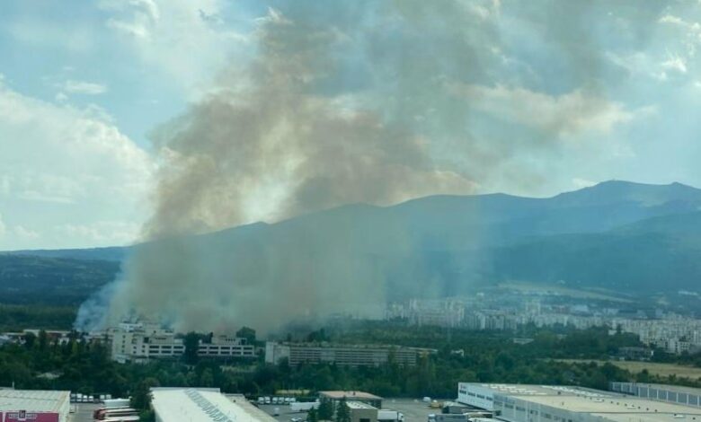 Пожар пламна и в софийския квартал „Горубляне“ (СНИМКИ)