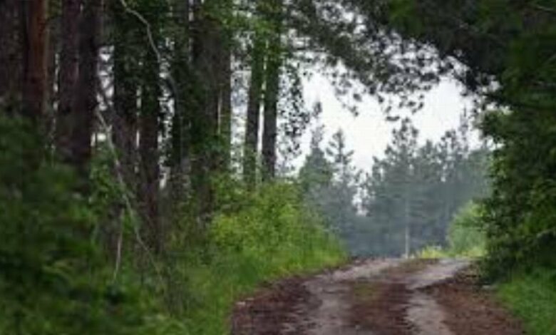 21-годишен неправоспособен водач загина при офроуд в Монтанско