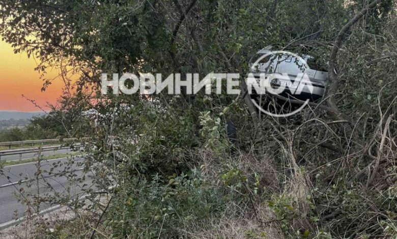 Атракция: Кола „кацна” на дърво на Подбалканския път