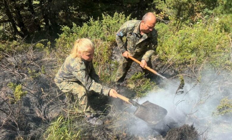 Седми ден бушува пожарът в Рила