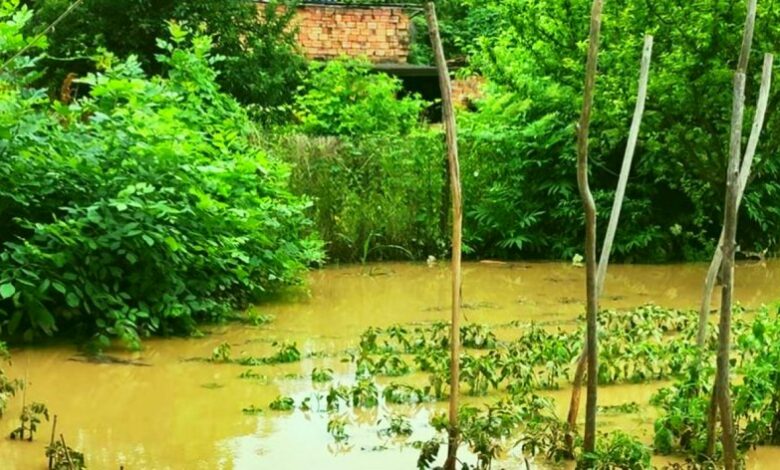 Труп на известен лекар е открит в река край Криводол