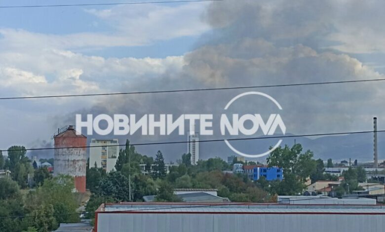 Пожар в столичния квартал "Димитър Миленков"