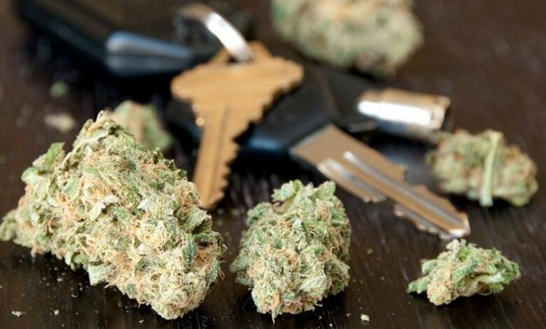 Шофьорът, прегазил 3-годишното дете в Дебелт, не разбрал за случилото се
