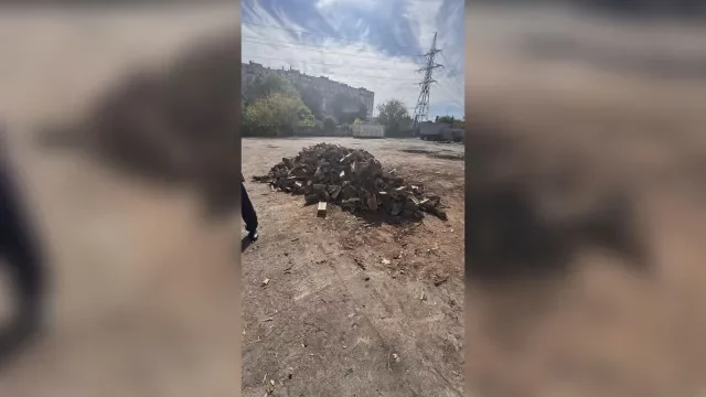 Тартори купуват гласове с крадени дърва (СНИМКИ)