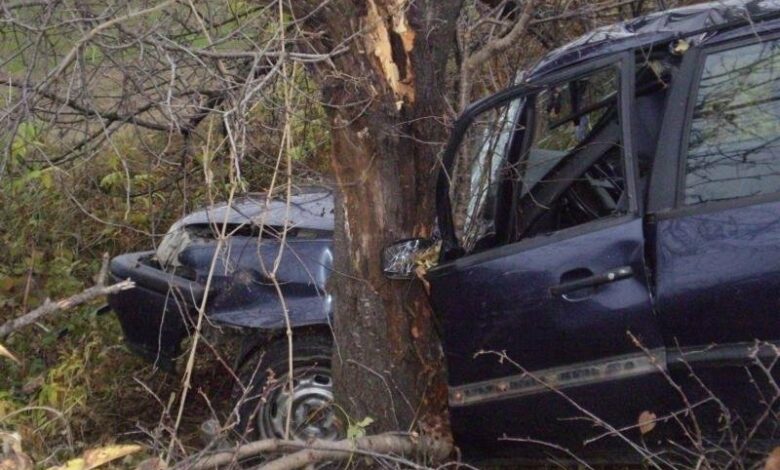 Млад шофьор загина след удар в дърво край Баня