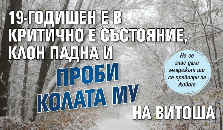 19-годишен е в критично е състояние, клон падна и проби колата му на Витоша