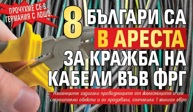 Прочухме се в Германия с лошо: 8 българи са в ареста за кражба на кабели във ФРГ