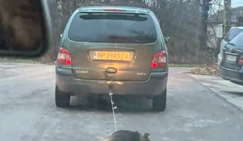 Шофьор влачи куче като ремарке. Цял град се вдигна