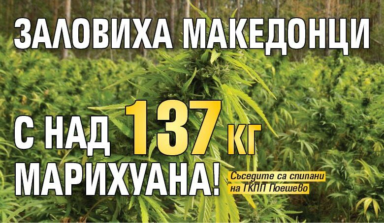 Заловиха македонци с над 137 кг марихуана!