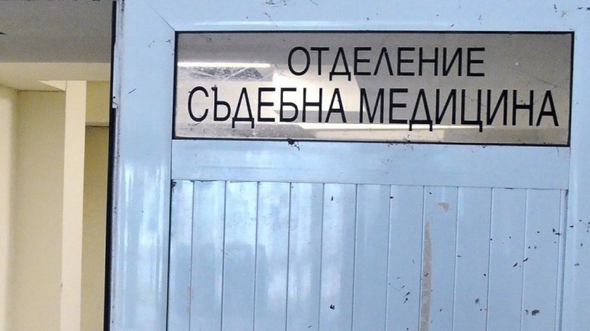 МВР: Намерените в Странджа мигранти са починали от преумора