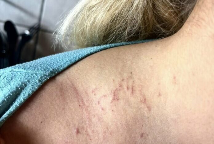 Разследване в Lupa.bg: Кой лъже за боя на пътя в Годеч - пътничката Николета или полицай Паланкасов?