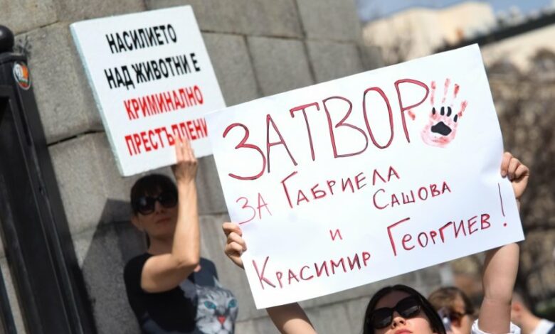 8 години затвор и 10 000 лева глоба за насилие над животни предлага правосъдното министерство