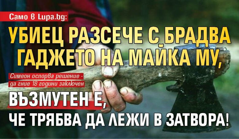Само в Lupa.bg: Убиец разсече с брадва гаджето на майка му, възмутен е, че трябва да лежи в затвора!