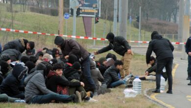 17 нелегални мигранти спипа полицията в Одрин