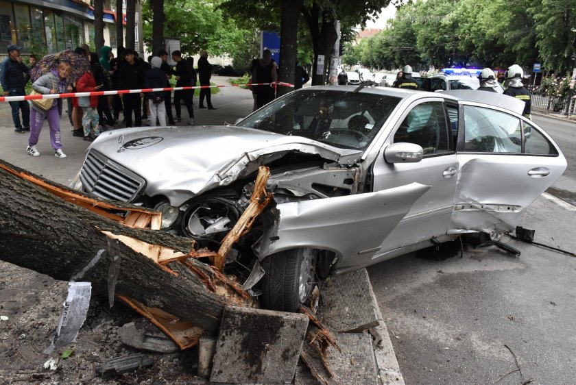 19-годишна шофьорка събори дърво върху автобусна спирка в Хасково (СНИМКИ)