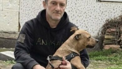 50 ловци в Монтанско издирват мистериозно изчезнал колега