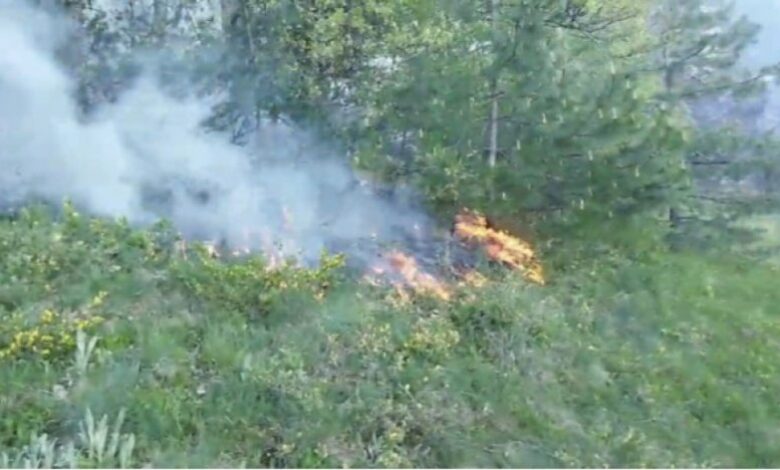 Овладян е пожарът край Невестино