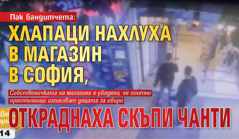 Пак бандитчета: Хлапаци нахлуха в магазин в София, откраднаха скъпи чанти