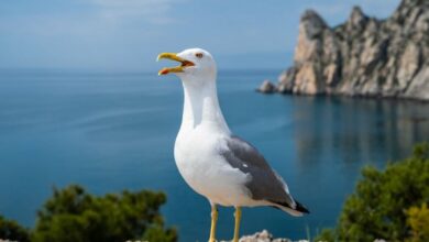 38-годишен простреля гларус и го хвърли в контейнер