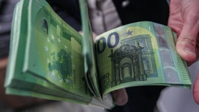 Глобиха с едва 1000 лева фермерка, източила с измама евросубсидии