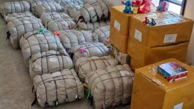 Иззеха фалшиви играчки от "Илиянци", били с логата на известни марки