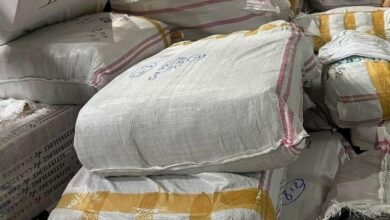 Иззеха над 48 000 „маркови“ облекла на „Лесово“ (СНИМКИ)