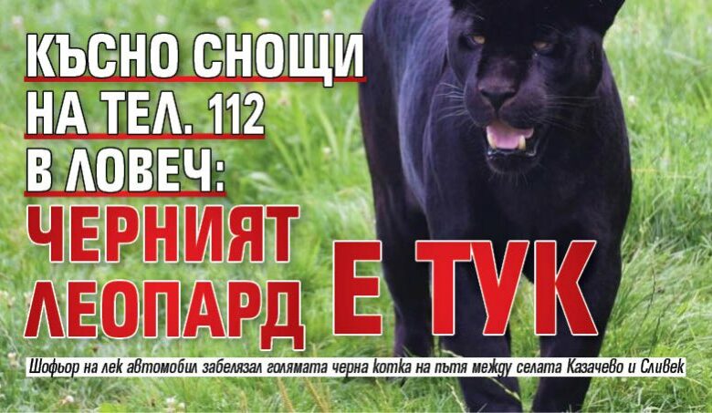 Късно снощи на тел. 112 в Ловеч: Черният леопард е тук