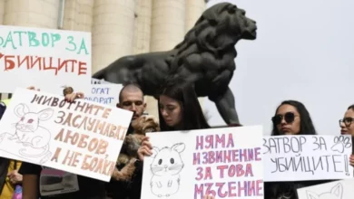 От 5 до 10 години затвор за насилници на животни
