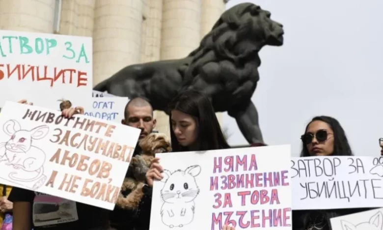От 5 до 10 години затвор за насилници на животни