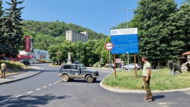 Преследването продължава: Все още не могат да открият хищника в Шуменското плато