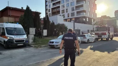 Ужас: Зло куче разкъса стопаните си в жилище в „Люлин“