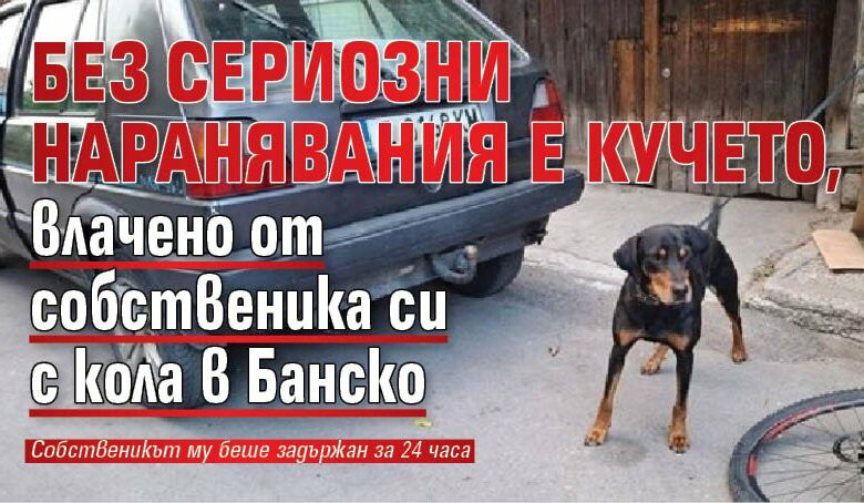 Без сериозни наранявания е кучето, влачено от собственика си с кола в Банско