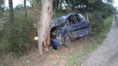 Двегодишно дете пострада при катастрофа в дърво в Троян