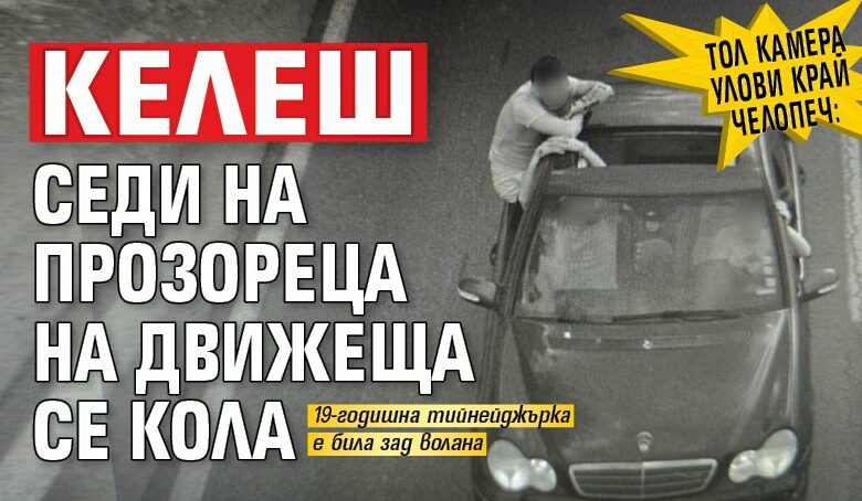 Тол камера улови край Челопеч: Келеш седи на прозореца на движеща се кола