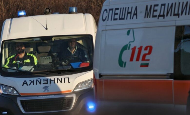Двама младежи загинаха при тежка катастрофа край Видин
