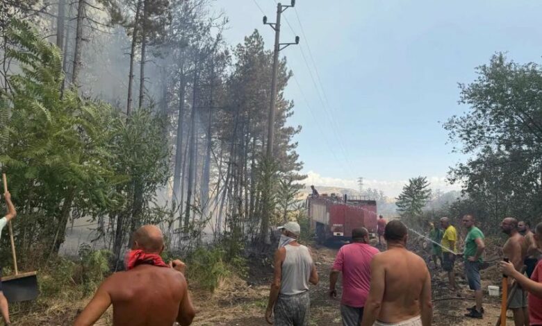 Има задържан за пожара в Българово