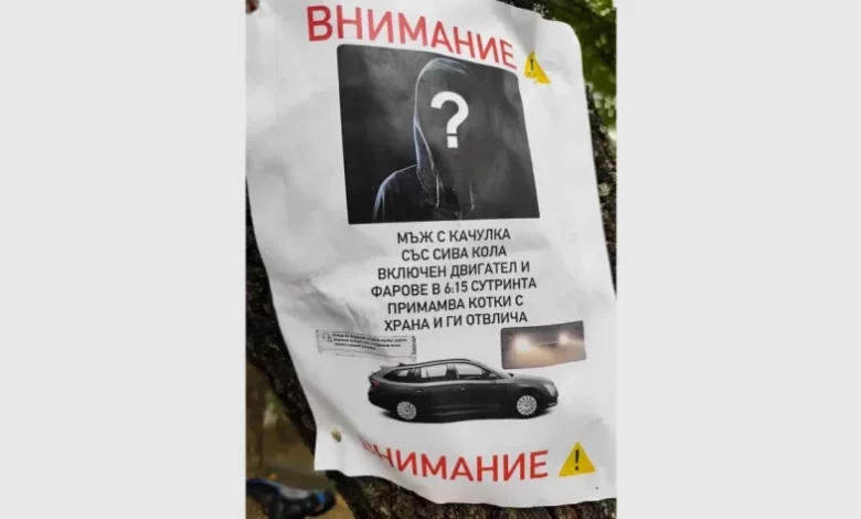 Урод с качулка отвлича котки в Пловдив