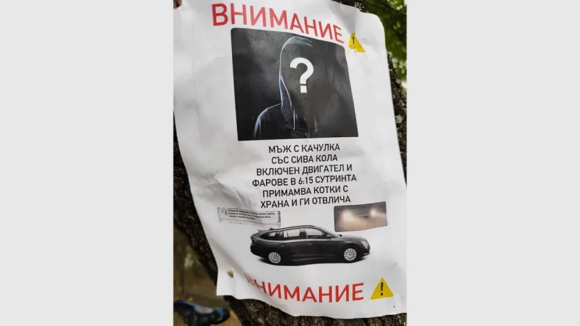 Урод с качулка отвлича котки в Пловдив