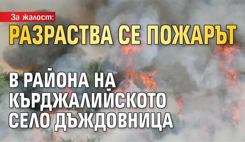 За жалост: Разраства се пожарът в района на кърджалийското село Дъждовница