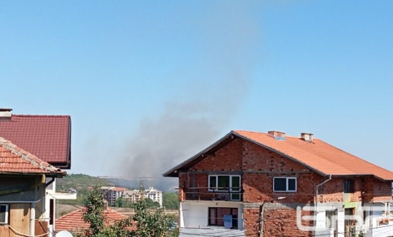 Горяха сухи треви и храсти край Монтана
