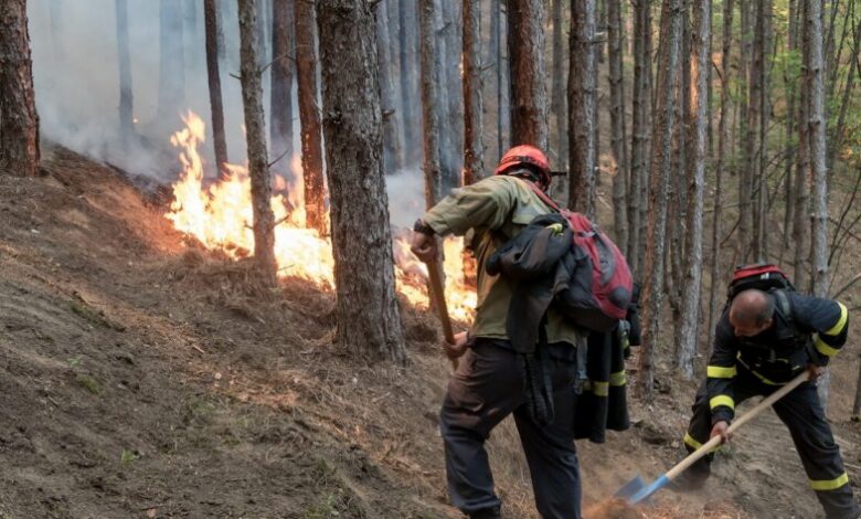 Локализиран е пожарът в Сакар