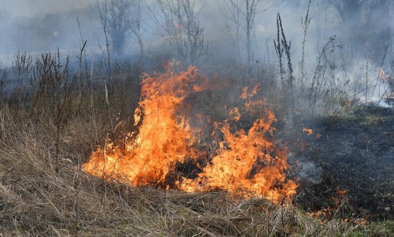 Пожар се разбушува между селата Левски и Попинци